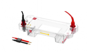 minidna mini horizontal electrophoresis cell